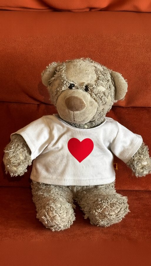 Ba, a grey much-loved teddy in a white T-shirt with a red heart, on a red sofa