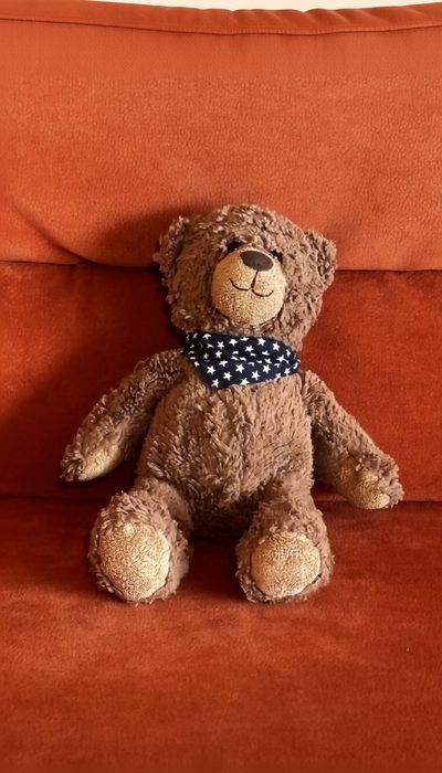 Teddy