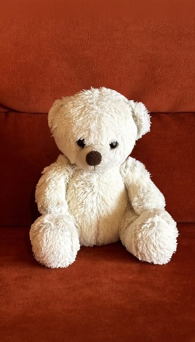 Urlaubbär